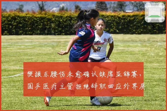 樊振东腰伤未愈确认缺席亚锦赛,国乒医疗主管拒绝辞职回应外界质疑