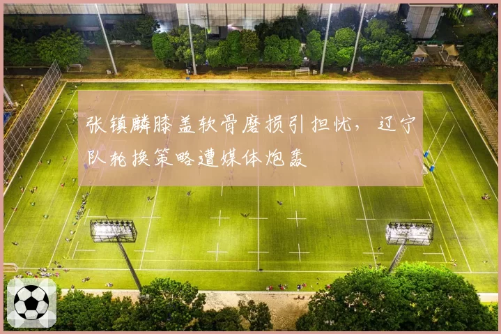 张镇麟膝盖软骨磨损引担忧，辽宁队轮换策略遭媒体炮轰