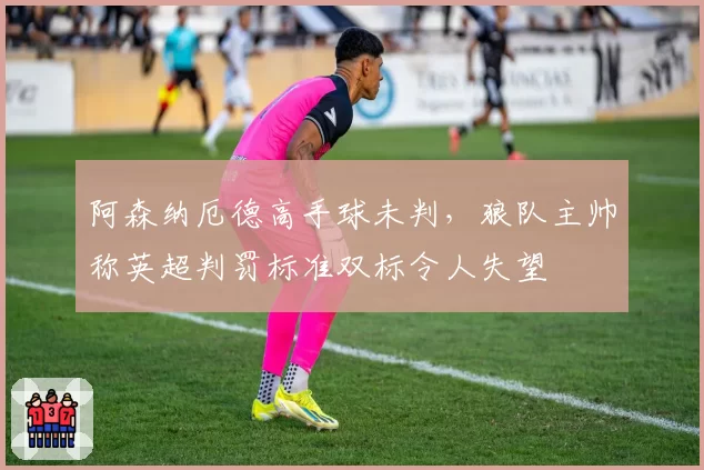 阿森纳厄德高手球未判，狼队主帅称英超判罚标准双标令人失望