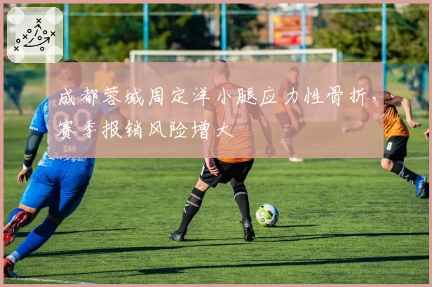 成都蓉城周定洋小腿应力性骨折，赛季报销风险增大